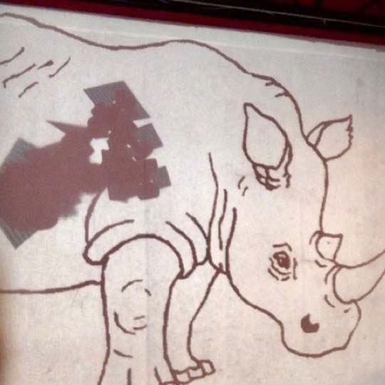 Dibuix d'un rinoceront