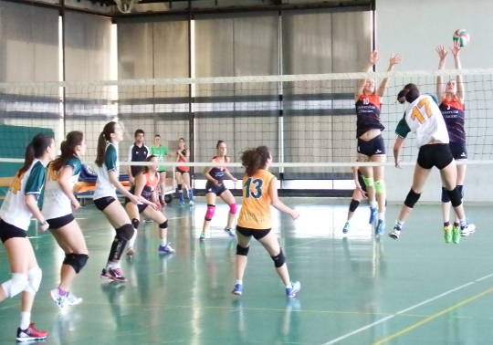 Voleibol femenino.