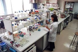 Imatge representativa del projecte