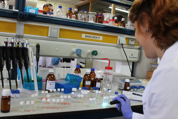 Investigadora al laboratori - imatge 0
