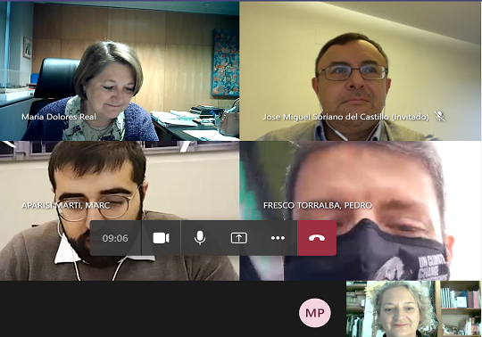 Captura d'un moment de la reunió per videoconferència