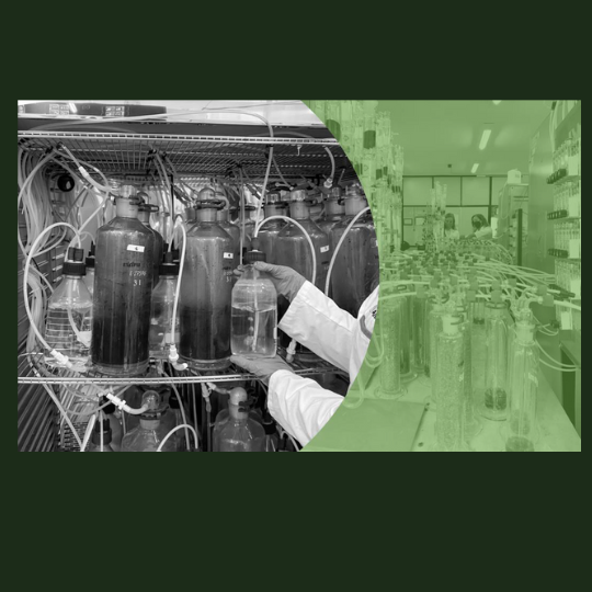 Representative picture of the project