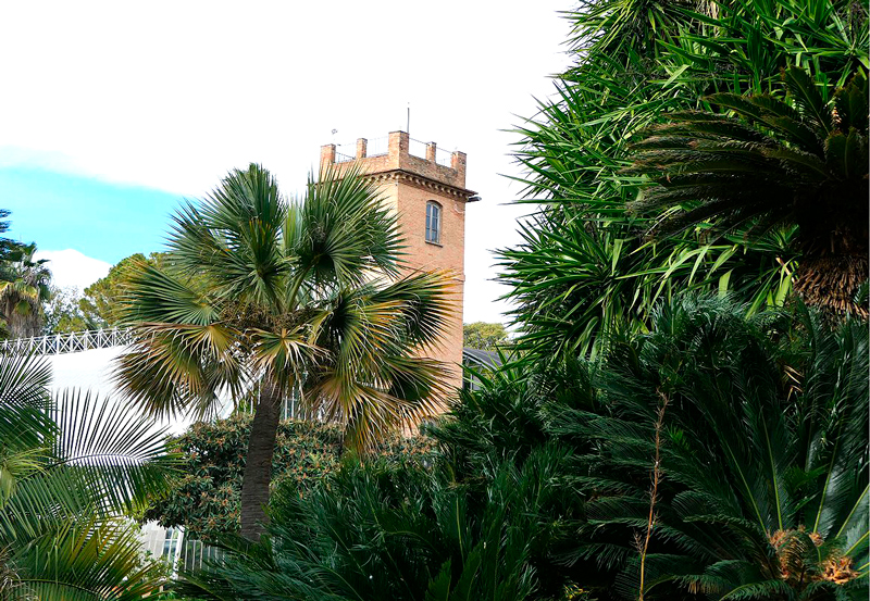 El Jardí Botànic de la Universitat de València fa balanç de 2019 i prepara un any ple d'activitats