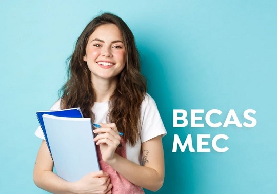 Beca col·laboració