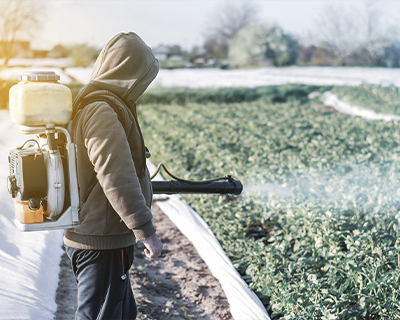 Imatge representativa del projecte