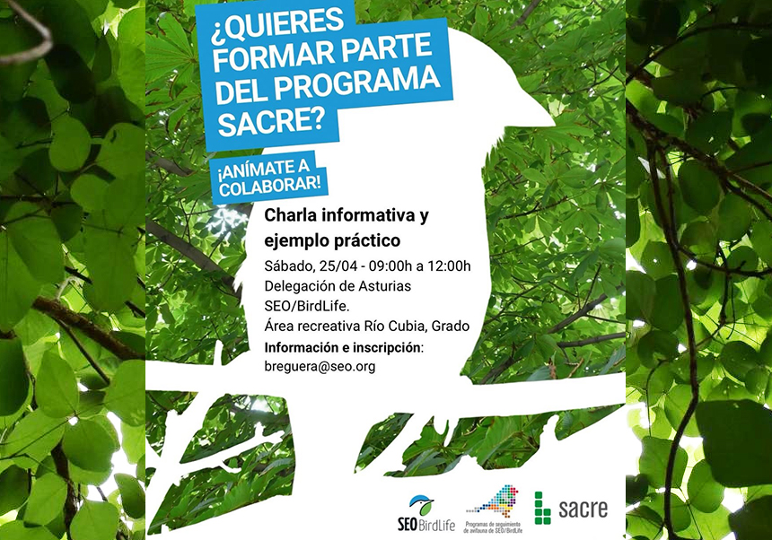 ¡Apúntate a nuestro próximo curso del programa SACRE!