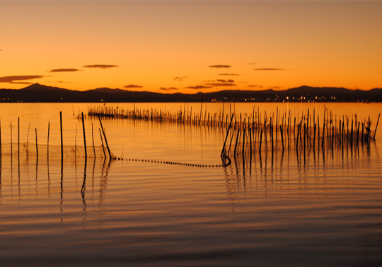 Albufera como Parque Natural