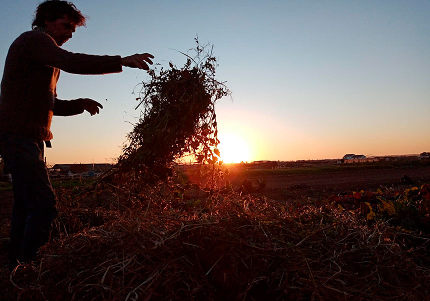 Agricultor