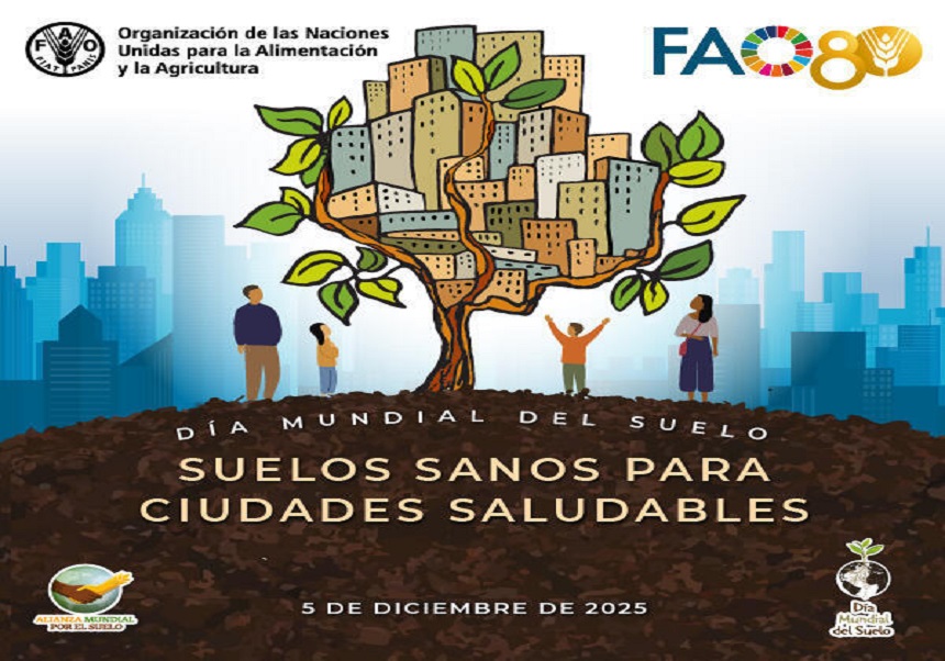 Día Mundial del suelo 5 diciembre 2025