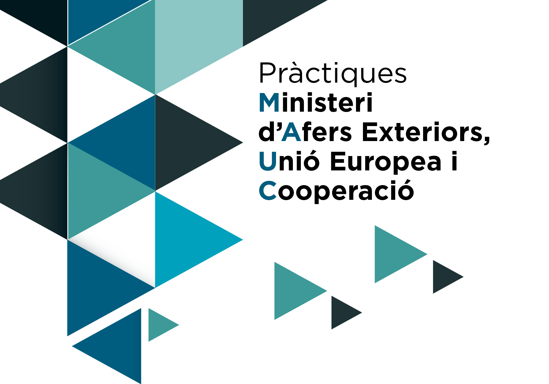 Pràctiques Ministeri d'Afers Exteriors, Unió Europea i Cooperació