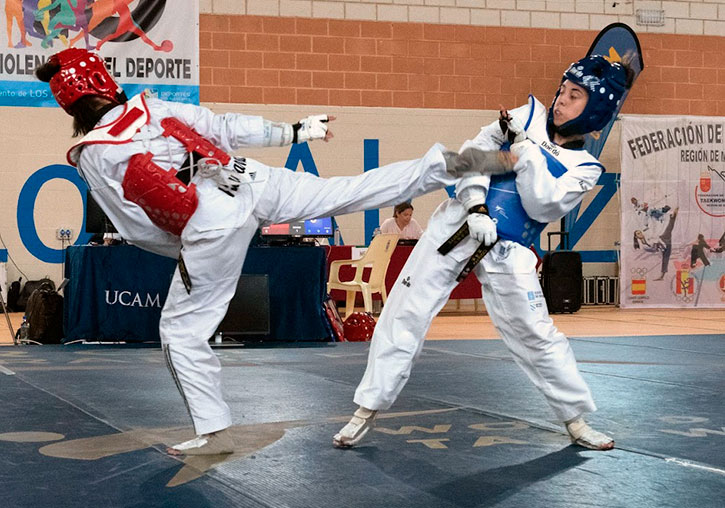 Taekwondo