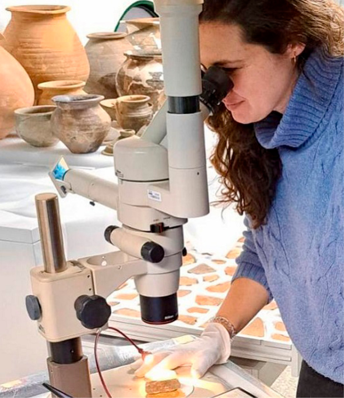 Investigadora UV