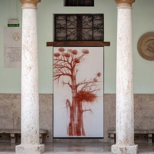 Parte del Claustro UV. Dibujo de un árbol