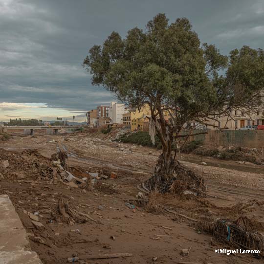 Llit d'un barranc arrasat per l'aigua
