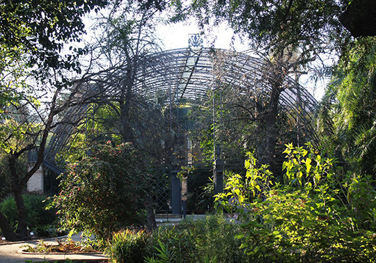 Umbracle del Jardí Botànic UV