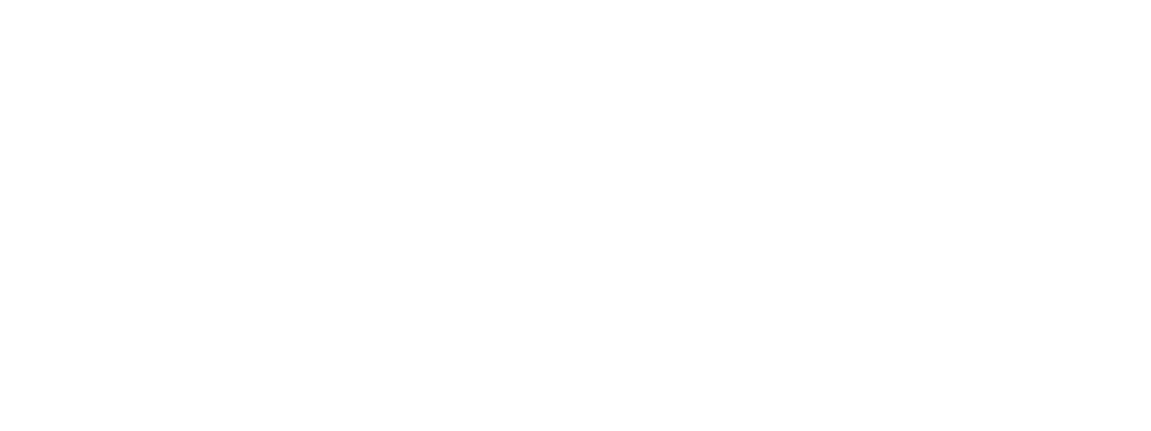 Universitat d'Estiu de Gandia