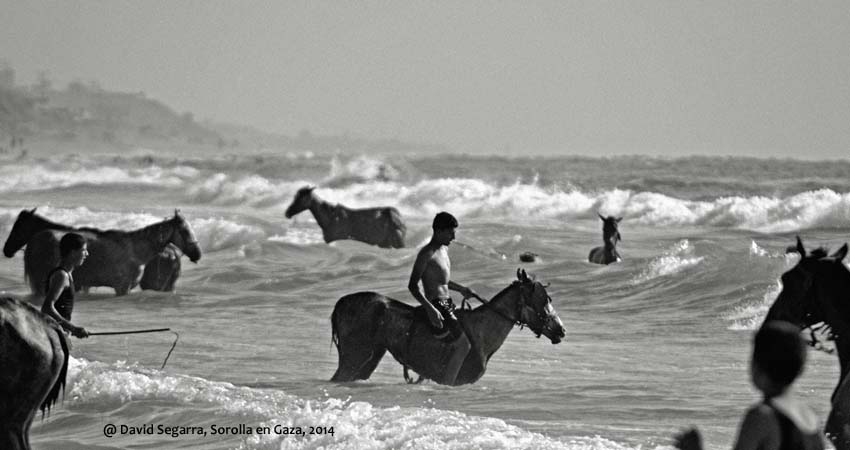 Drawing of horses on the beach