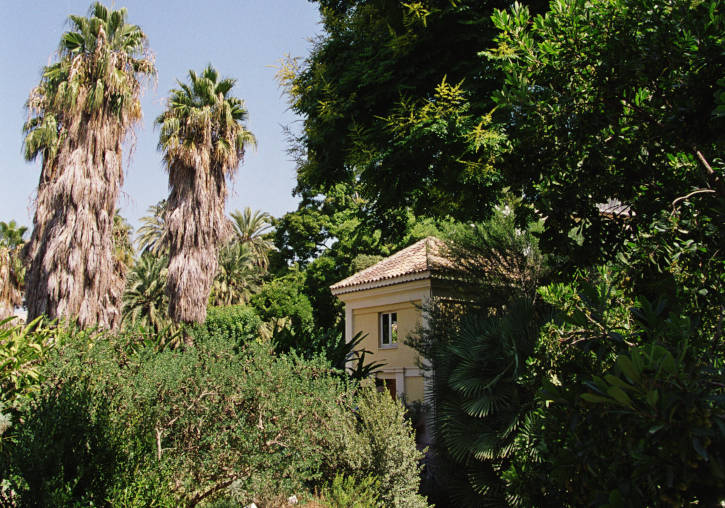 Jardí Botànic de la Universitat de València.