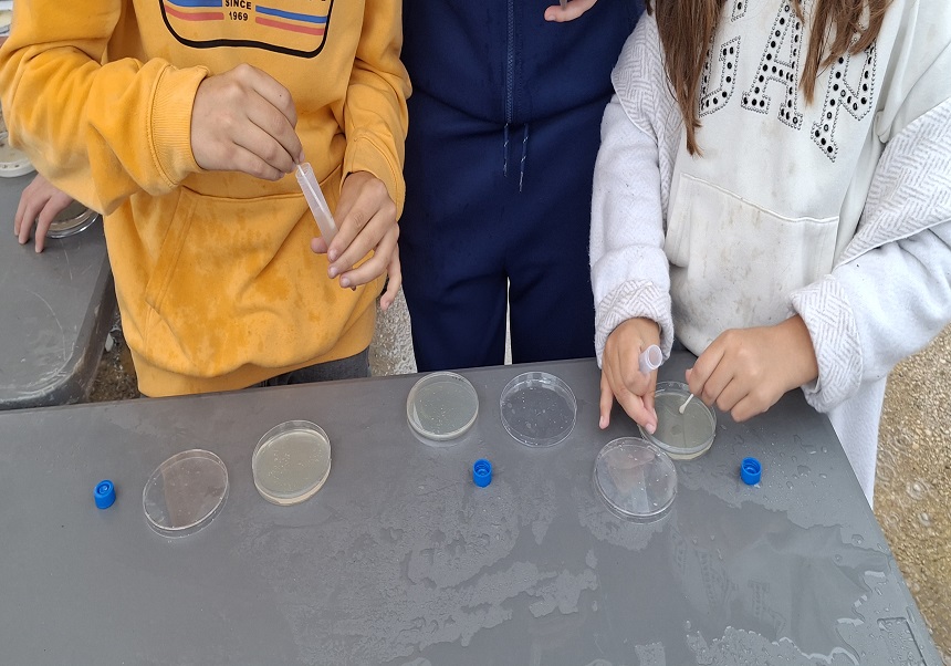 La pluja activa la ciència: La Facultat de Ciències Biològiques sobreviu al diluvi d’Expociència 2026.