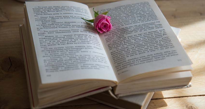 Photo of a book and a rose