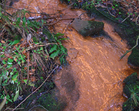 Representative picture of the project
