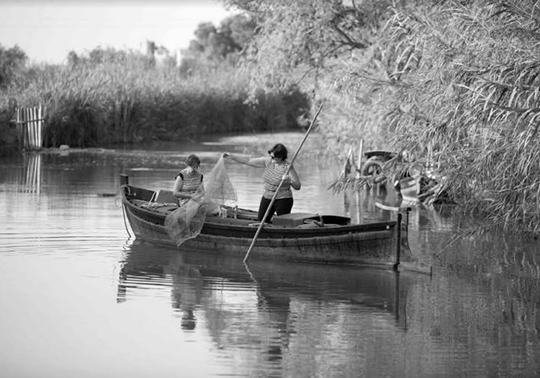 Fotografia de la exposició