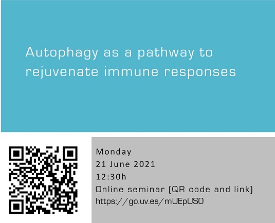 Autophagy as a pathway to rejuvenate immune responses