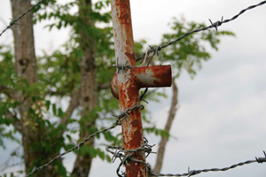 Curs: Una perspectiva didáctica del Holocausto desde los valores humanos