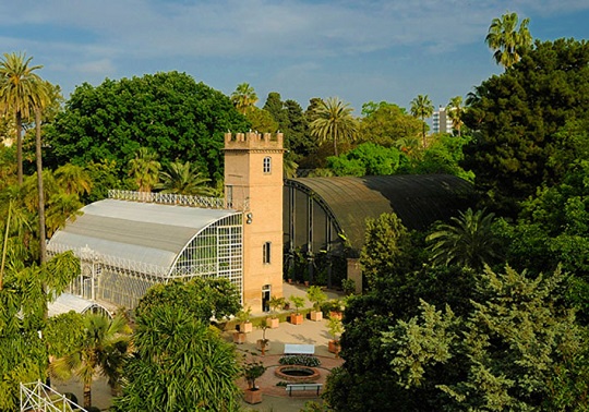 Fotografia del jardí botànic UV.