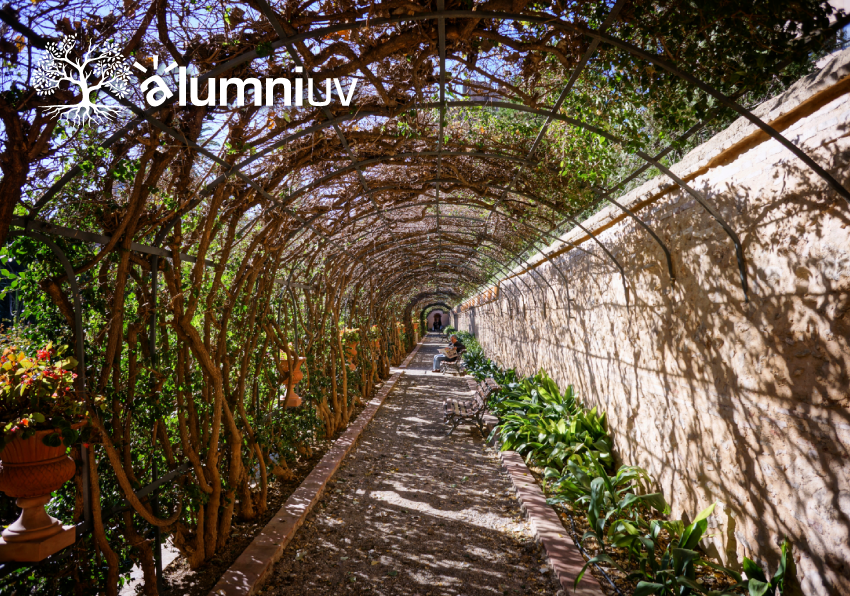Imatge del esdeveniment:Galeria de trepadores dels Jardins de Monfort