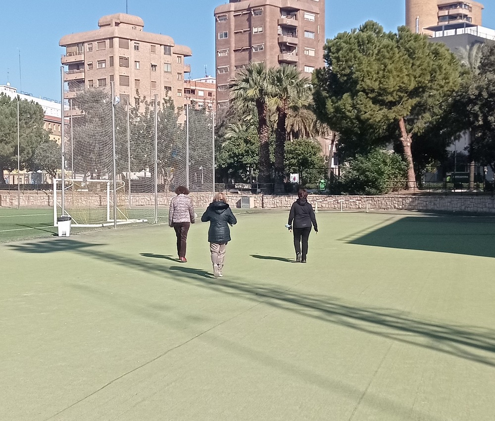 Representative picture of the project