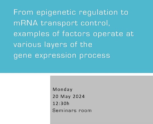 From epigenetic regulation to mRNA transport control, examples of factors operate at various layers of the gene expression process