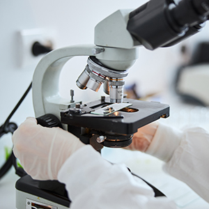 Representative picture of the project