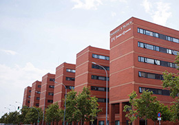 Faculty of Economics