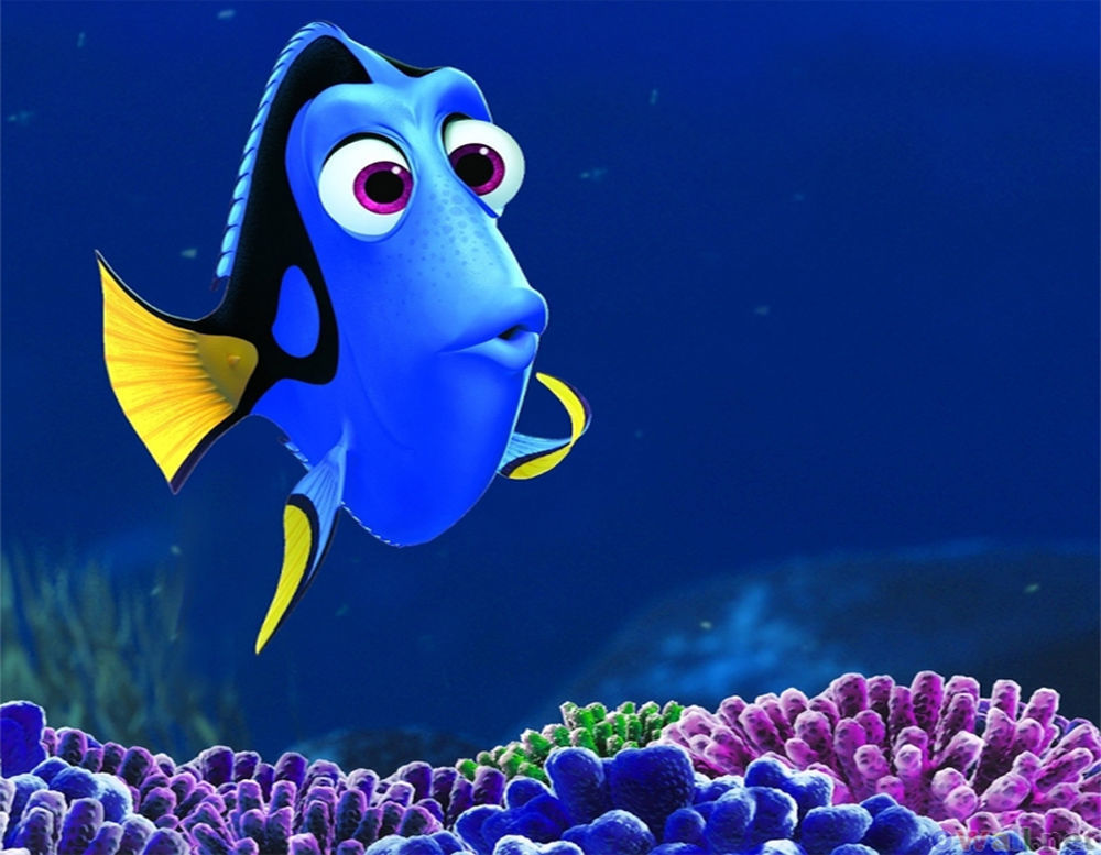 Buscant la Dory a Tres Forques