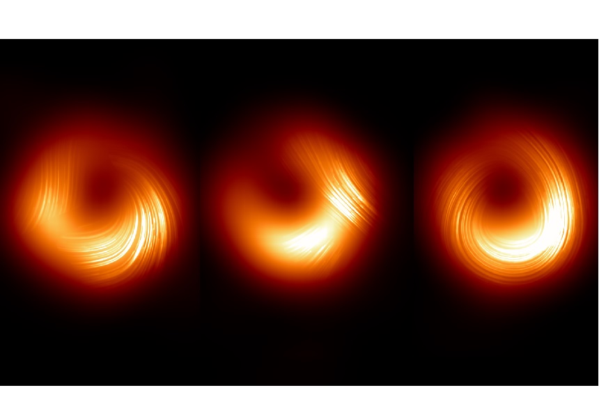 Imatges polaritzades de M87* obtingudes amb l’EHT a una freqüència de 230 GHz.