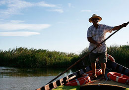 ¿És viable depurar l'Albufera gràcies als aiguamolls artificials?