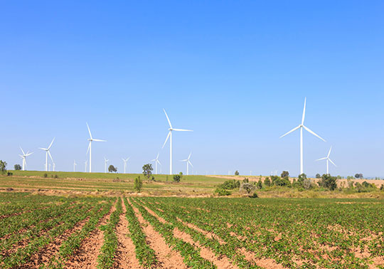 Molinos de viento