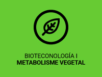 Imatge de Bioteconologia i Metabolisme Vegetal