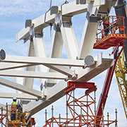 Cranes