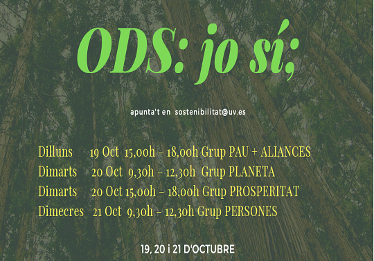 Cartel jornadas ODS