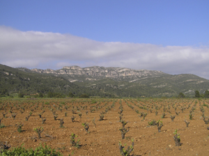 Pico de los Ajos vist des de Punta Gaeta
