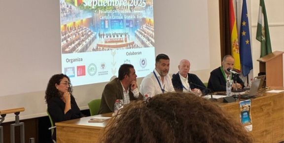 El projecte VIDECOM participa en CIICEL celebrat en la Universitat de Granada (2025) - imatge 0