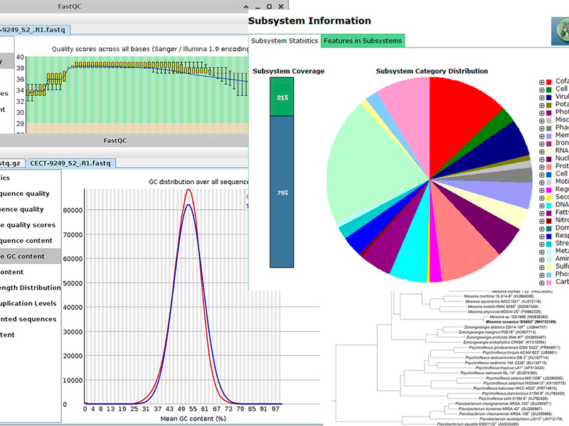 Complete genome sequencing of a microbial strain