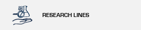 Research lines
