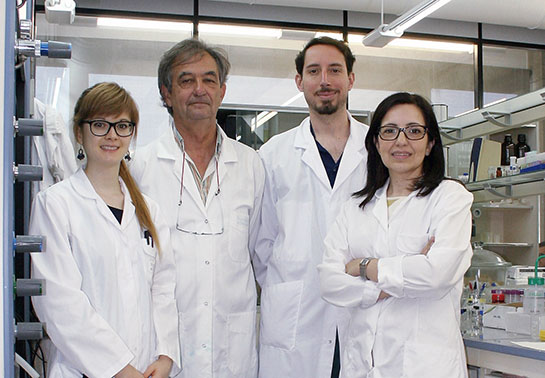 El equipo investigador