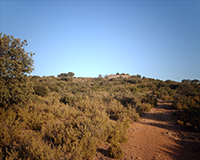 Representative picture of the project