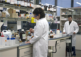 Instituto de Ciencia Molecular (ICMol)