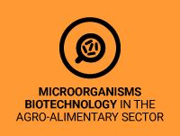 Bioteconologia de Microorganismes en Agroalimentacio