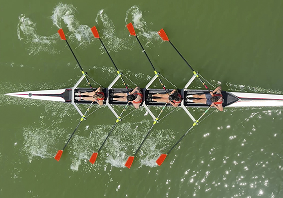 Image de la noticia